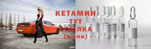 гашик Новозыбков