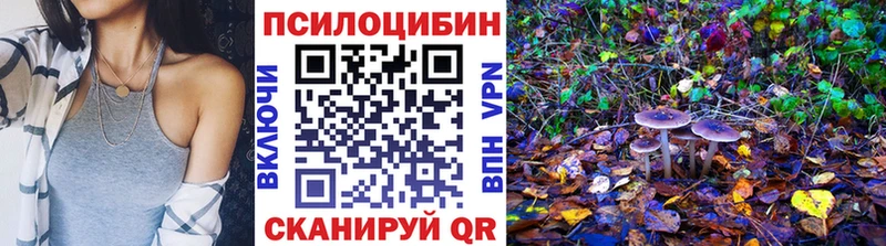 Галлюциногенные грибы прущие грибы  Купить  Карасук 